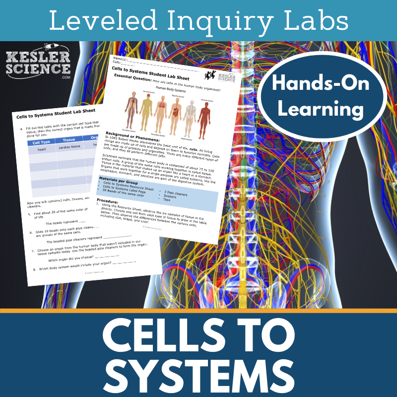 Cells to Systems Inquiry Lab - NGSS MS LS1-3, TEKS 6-8