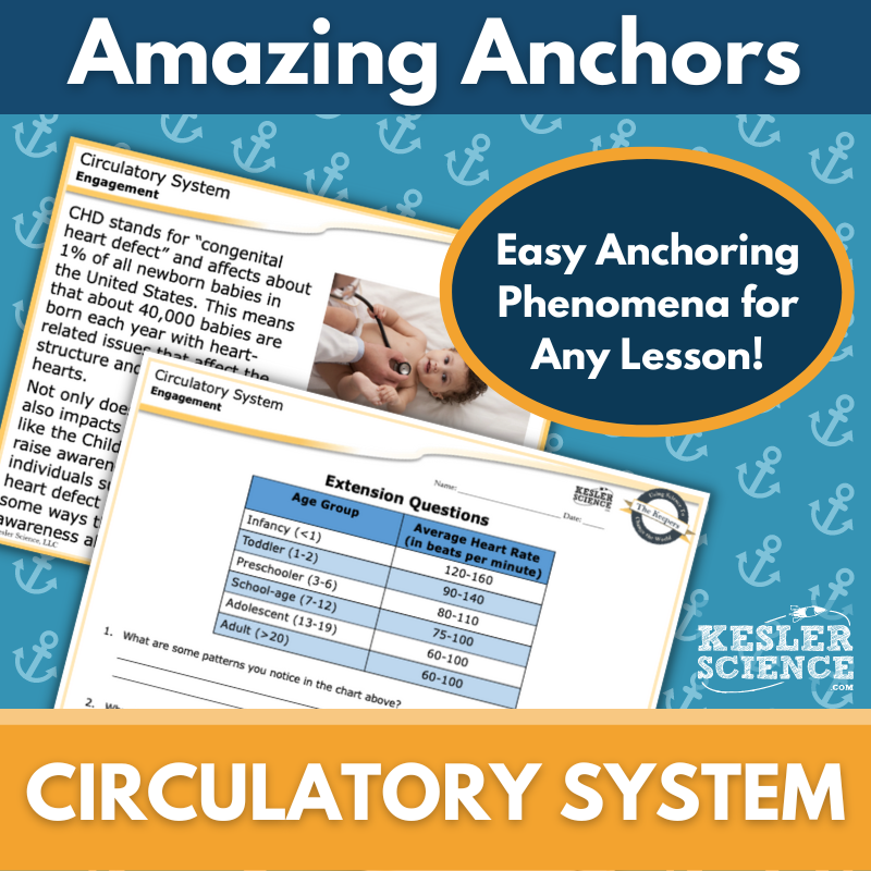 Amazing Anchors - Circulatory System - MS 6-8