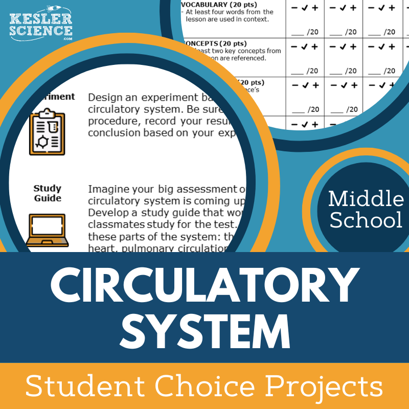 Circulatory System - Student Choice Projects - MS