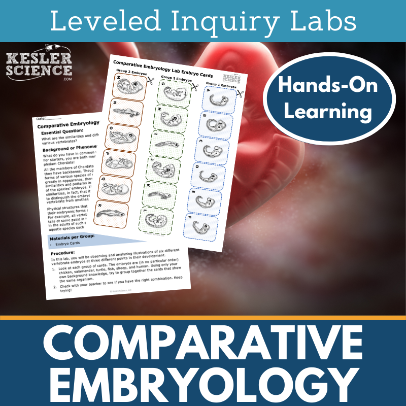 Comparative Embryology Inquiry Lab - NGSS MS LS4-3