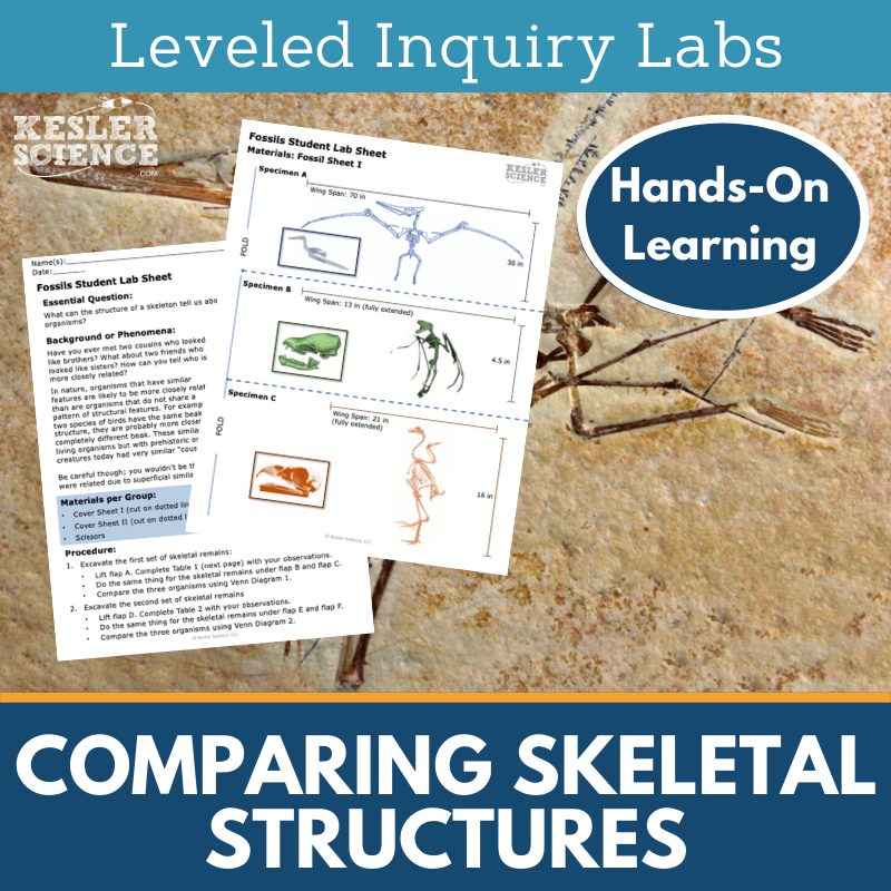 Comparing Skeletal Structures Inquiry Lab - NGSS MS LS4-2