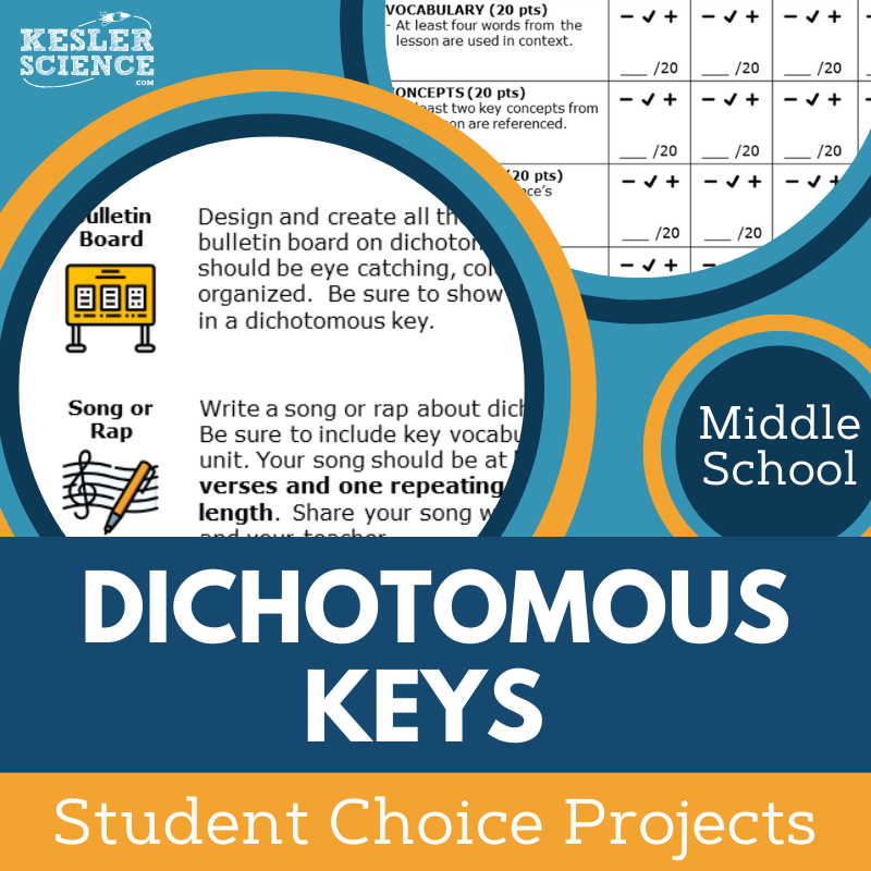 Dichotomous Keys - Student Choice Projects - MS