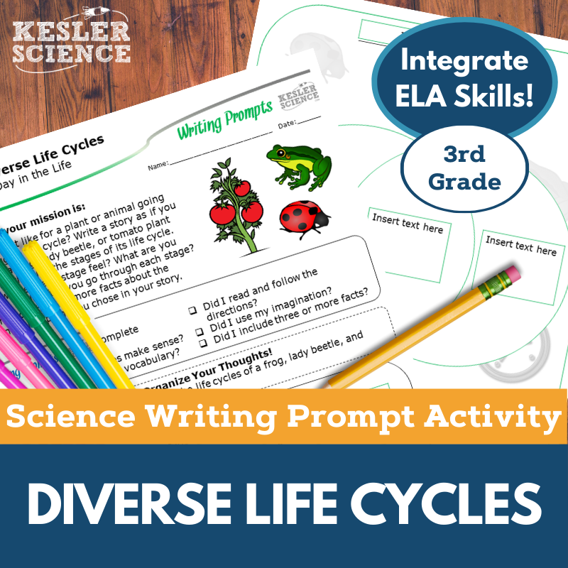 Writing Prompts - Diverse Life Cycles - 3rd Gr