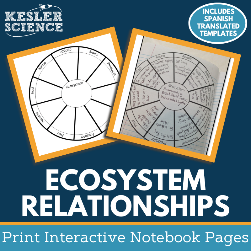 Ecosystem Relationships Interactive Notebook Pages - Paper INB - MS 6-8