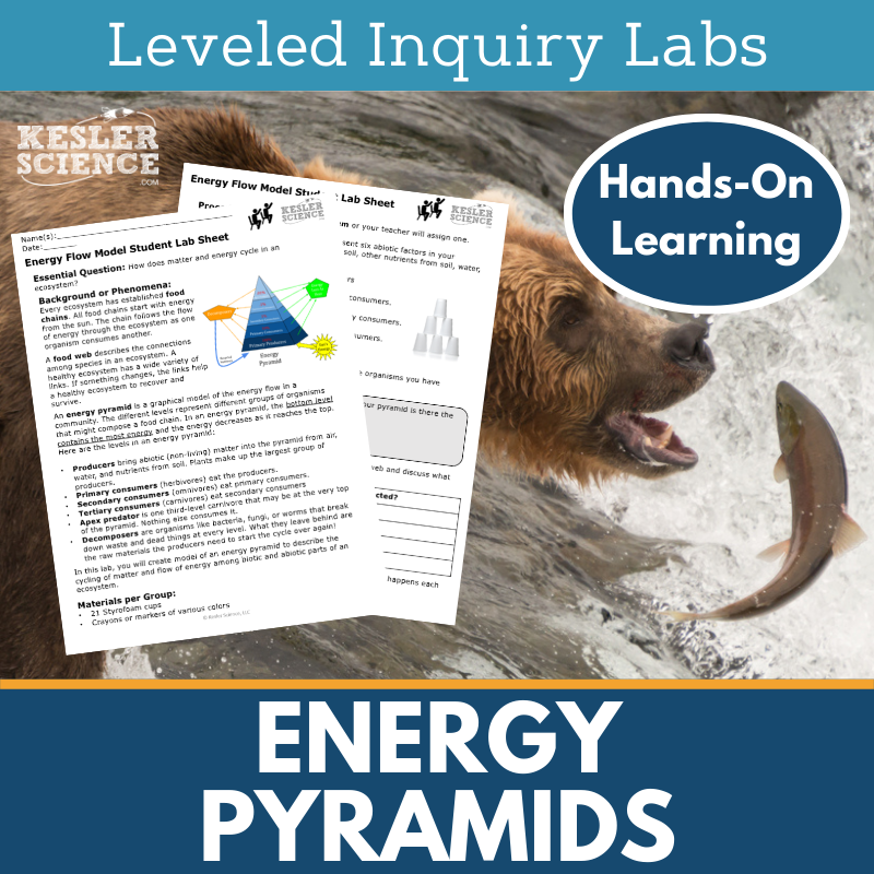 Energy Pyramids & Energy Flow Inquiry Lab - NGSS MS LS2-3
