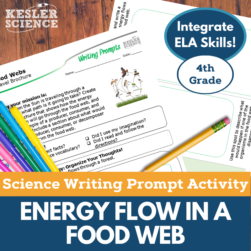 Writing Prompts - Energy Flow in a Food Web - 4th Gr