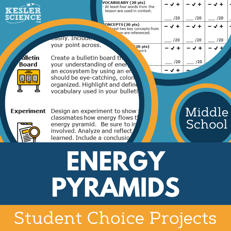 Energy Pyramids - Student Choice Projects - MS