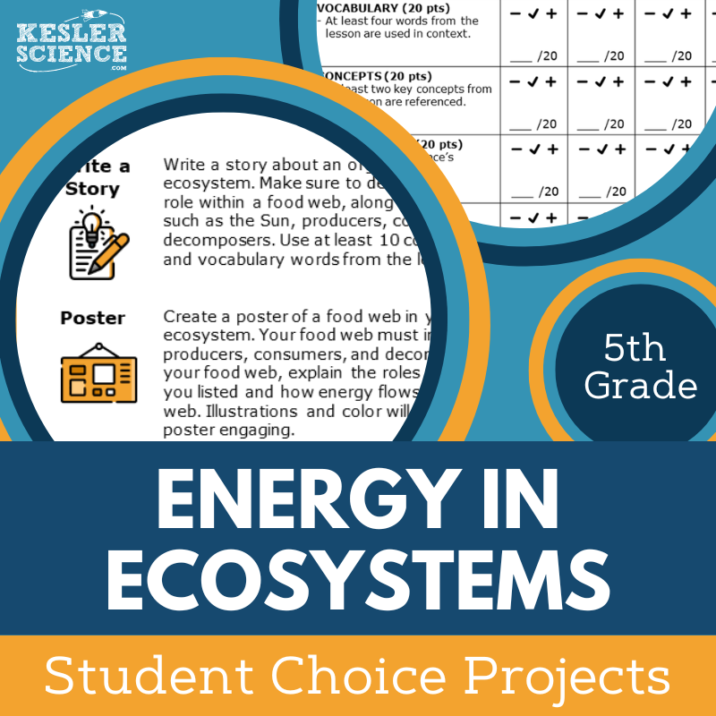 Energy in Ecosystems - Student Choice Projects - 5th Grade