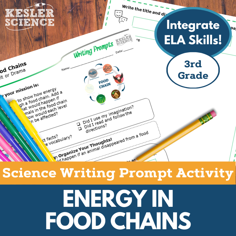 Writing Prompts - Energy in Food Chains - 3rd Gr
