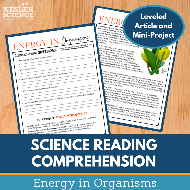 MS 6th 7th 8th Science Reading Comprehension Passages - VOL. 4 - Energy in Organisms