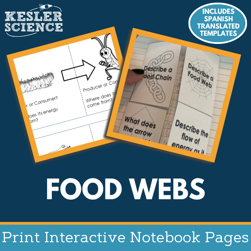 Food Webs & Food Chains Interactive Notebook Pages - Paper INB - MS 6-8