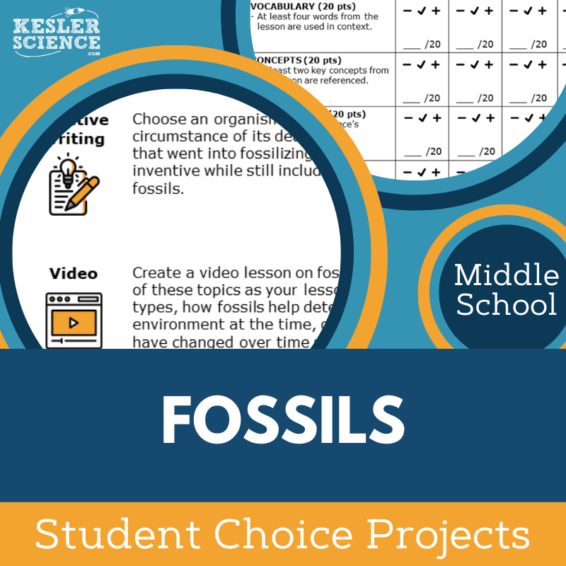 Fossils - Student Choice Projects - MS