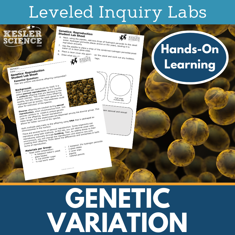 Genetic Variation Inquiry Lab - NGSS MS LS4-4