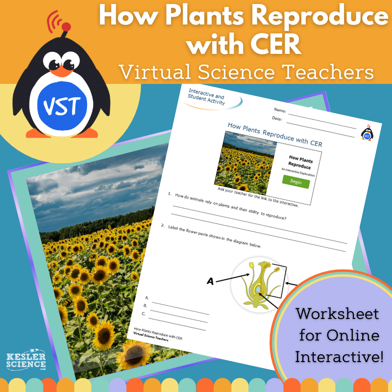 How Plants Reproduce - Worksheet with CER - VST