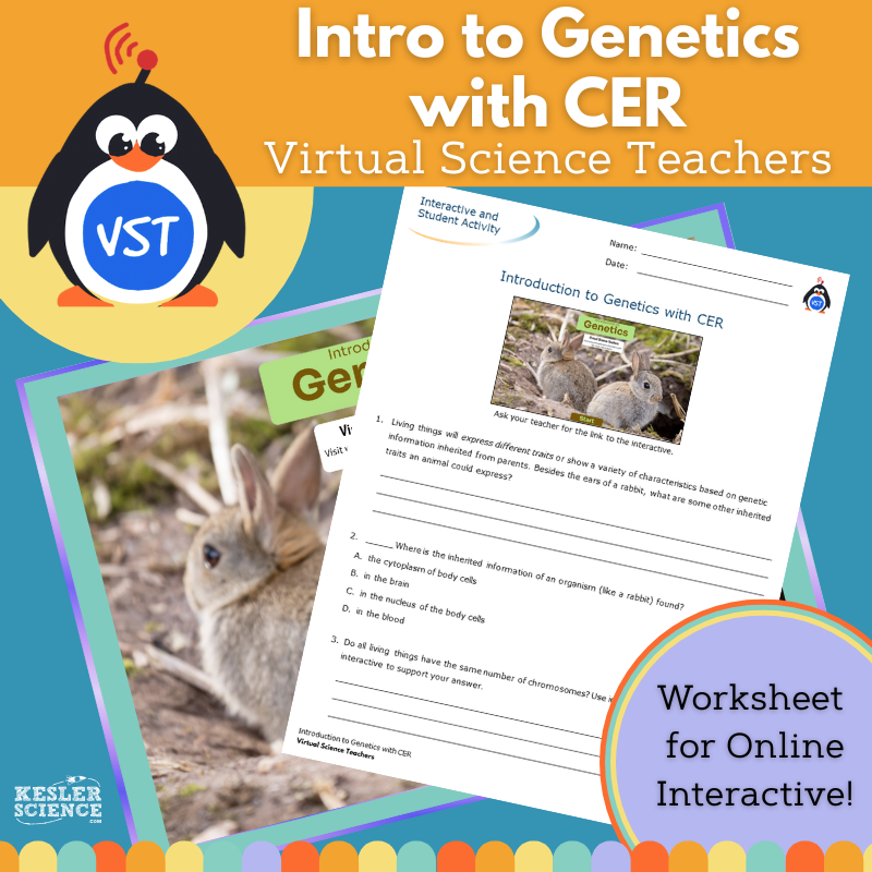 Introduction to Genetics - Worksheet with CER - VST