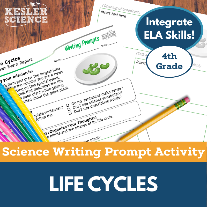 Writing Prompts - Life Cycles - 4th Gr