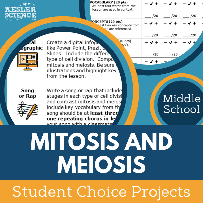 Mitosis & Meiosis - Student Choice Projects - MS