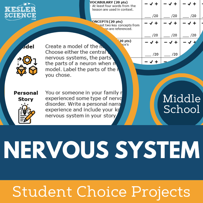 Nervous System - Student Choice Projects - MS