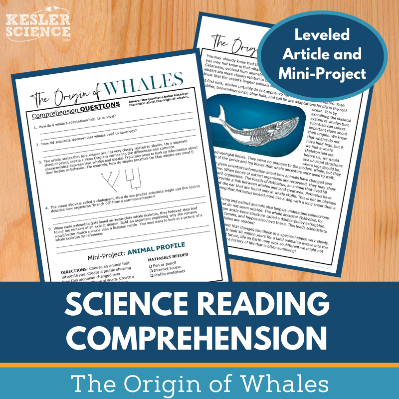 MS 6th 7th 8th Science Reading Comprehension Passages - VOL. 3 - Origin of Whales