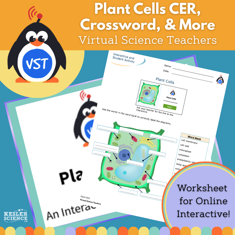 Plant Cells Worksheet, CER, & Crossword - VST