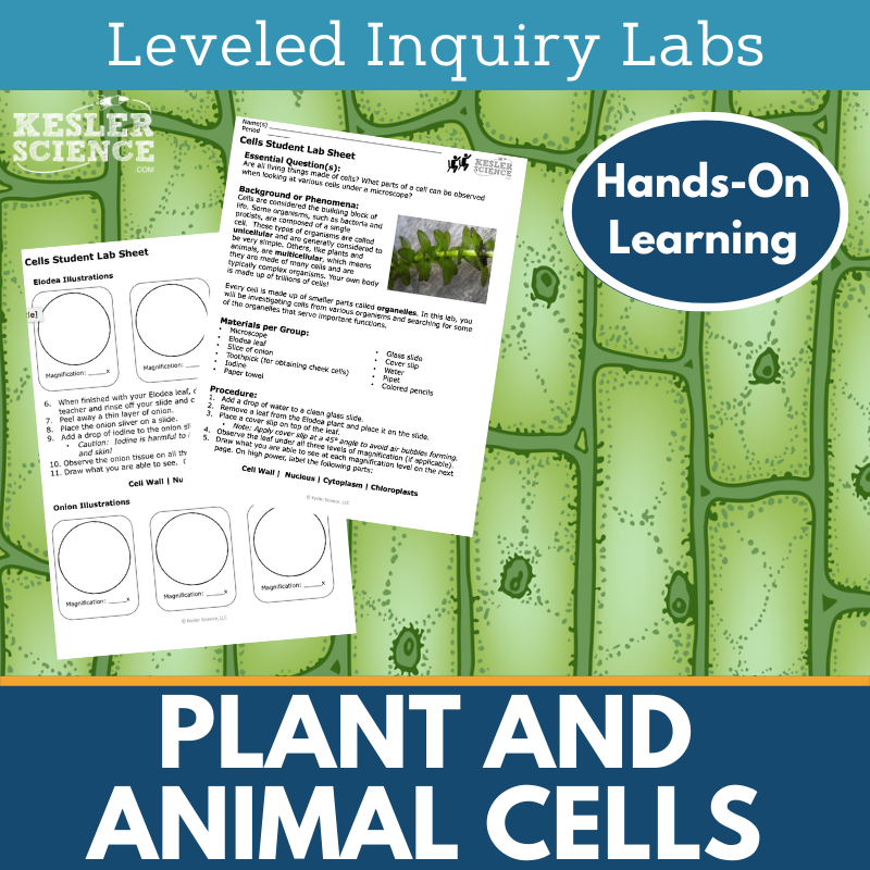 Plant and Animal Cells Inquiry Lab - MS 6-8 Science