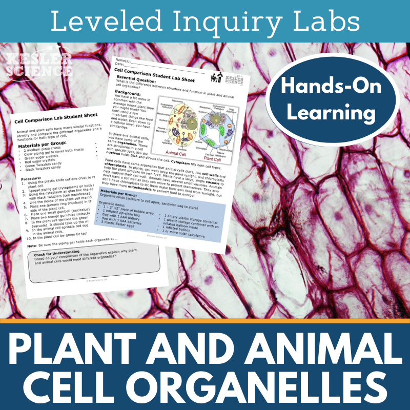 Plant and Animal Cell Organelles Inquiry Lab - NGSS MS LS1-2, TEKS 6-8