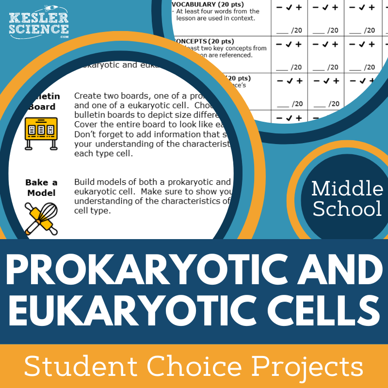 Prokaryotic & Eukaryotic Cells - Student Choice Projects - MS