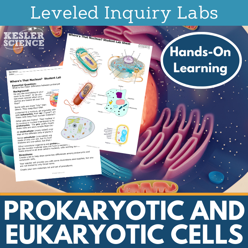 Prokaryotic & Eukaryotic Cells Inquiry Lab - MS 6-8 Science TEKS, Hands-on