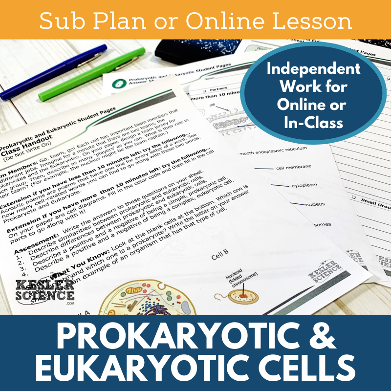 MS 6th 7th 8th - Prokaryotic and Eukaryotic Cells - Sub Plans