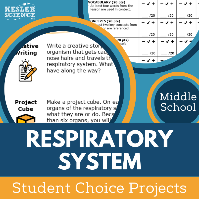 Respiratory System - Student Choice Projects - MS
