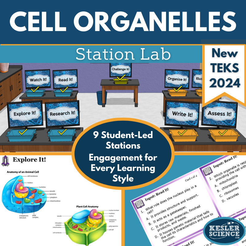 Cell Organelles Station Lab - New TEKS 8.13A