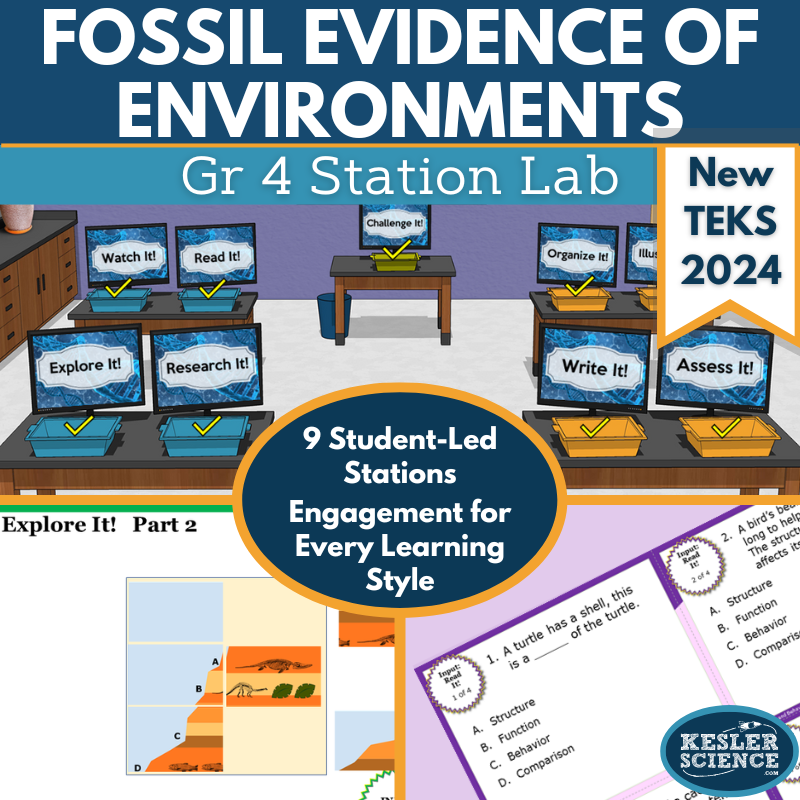 Fossil Evidence of Environments Student-Led Station Lab - Gr 4, New TEKS 4.12C