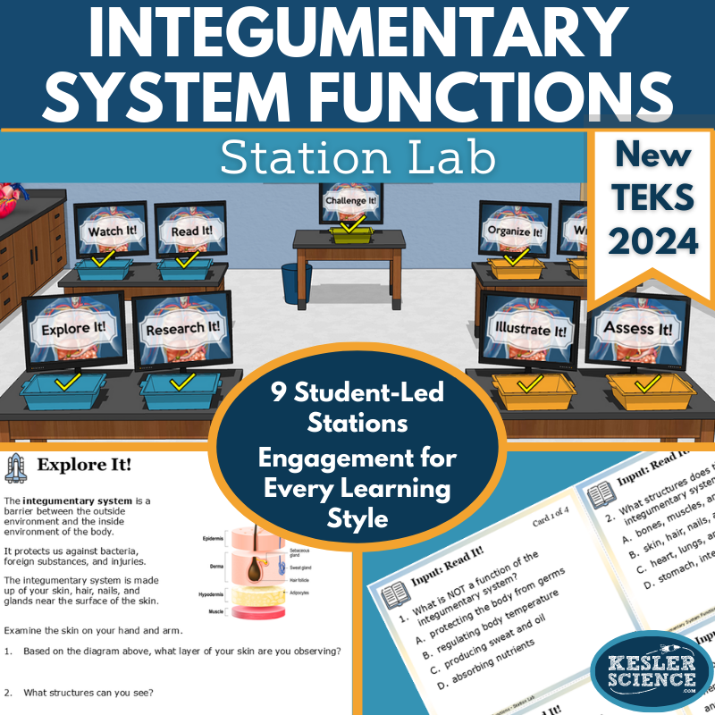 Integumentary System Functions Station Lab New TEKS 7.13A