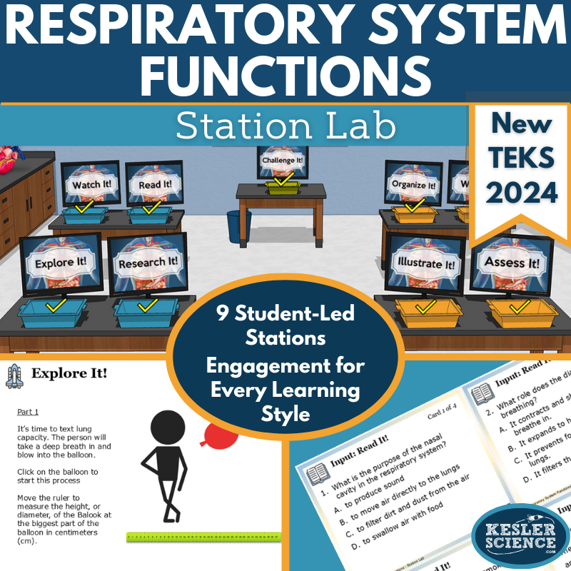 Respiratory System Functions Station Lab New TEKS 7.13
