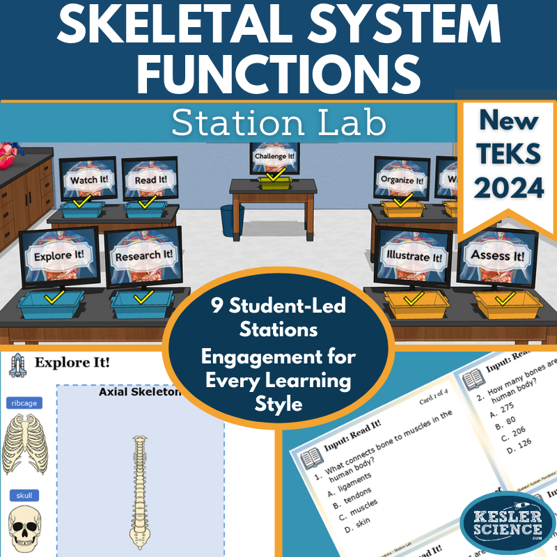 Skeletal System Functions Station Lab - New TEKS 7.13A
