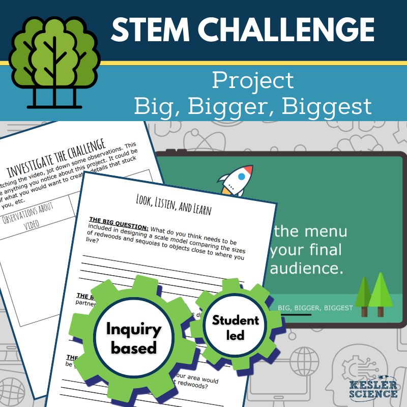STEM Challenge - Project Big, Bigger, Biggest - Design Scale Models of Redwoods