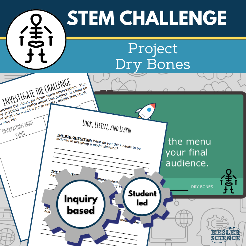 STEM Challenge - Project Dry Bones - Create a Model Skeleton