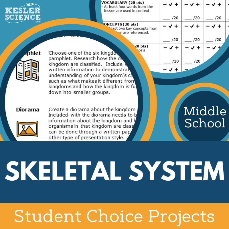 Skeletal System - Student Choice Projects - MS