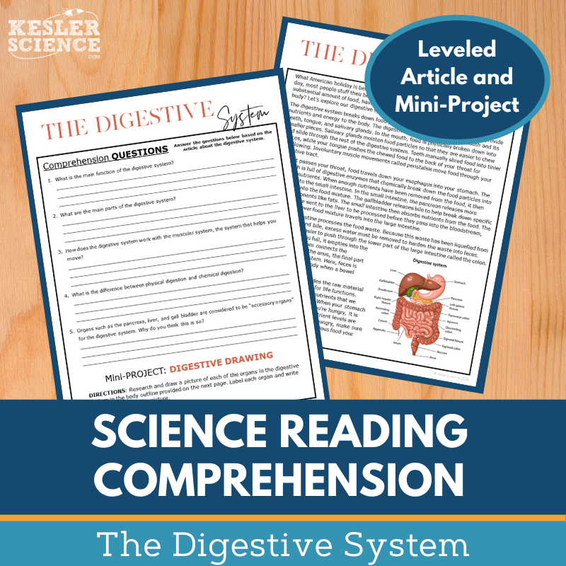 MS 6th 7th 8th Science Reading Comprehension Passages - VOL. 3 - Digestive System