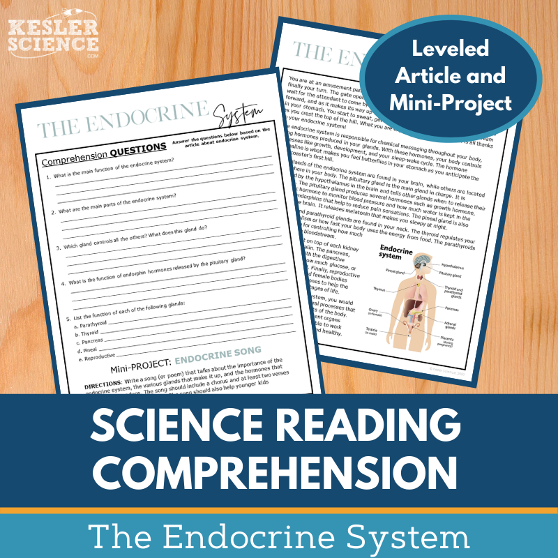 MS 6th 7th 8th Science Reading Comprehension Passages - VOL. 3 - Endocrine System