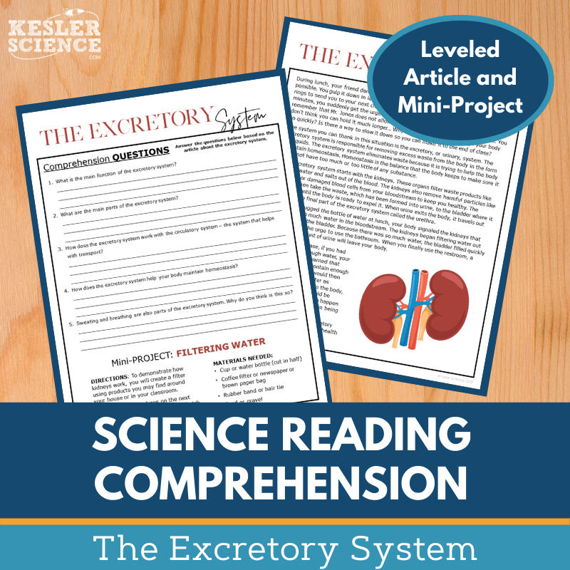 MS 6th 7th 8th Science Reading Comprehension Passages - VOL. 3 - Excretory System
