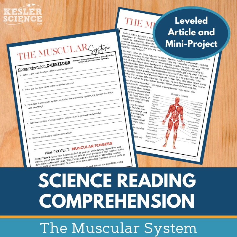 MS 6th 7th 8th Science Reading Comprehension Passages - VOL. 3 - Muscular System