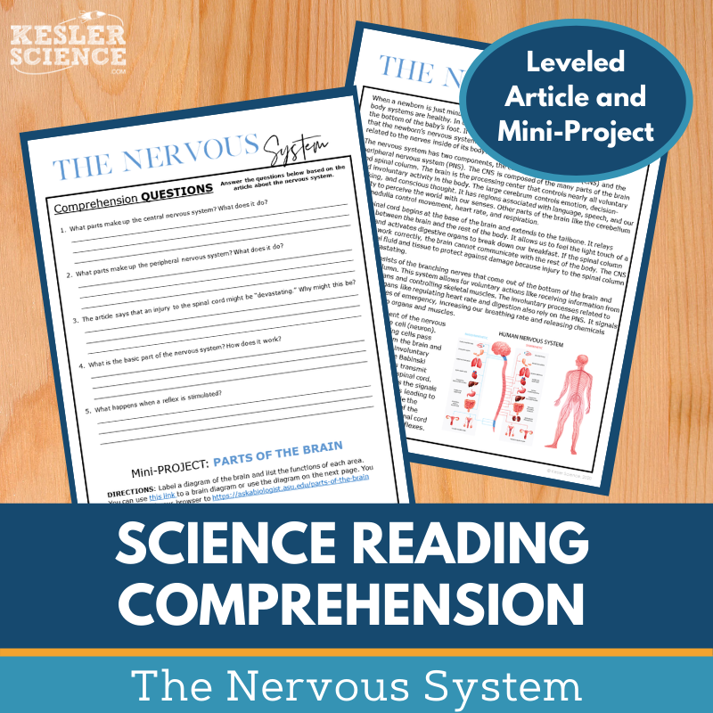 MS 6th 7th 8th Science Reading Comprehension Passages - VOL. 3 - Nervous System