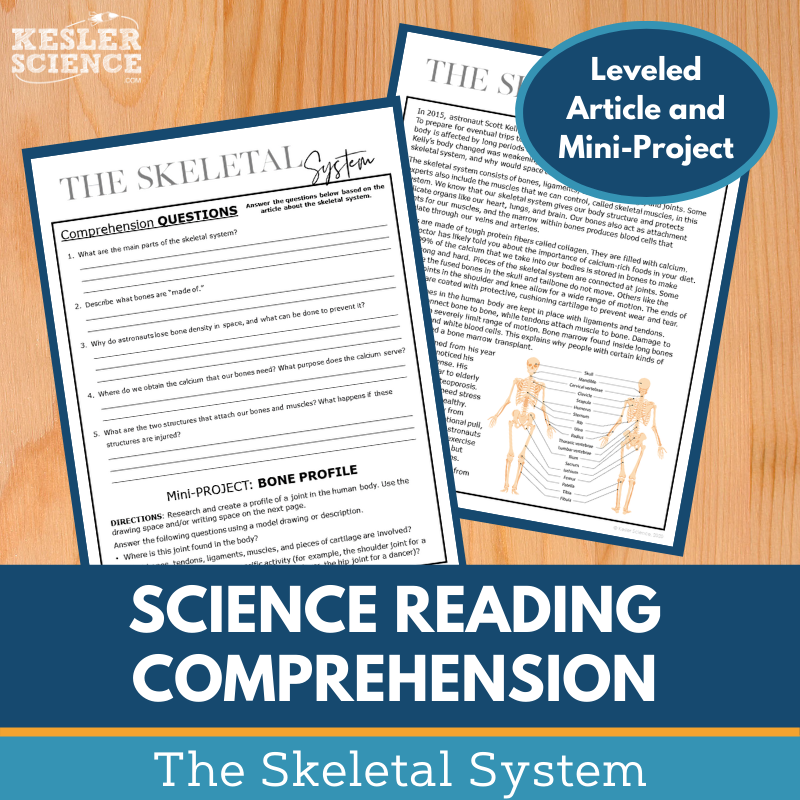 MS 6th 7th 8th Science Reading Comprehension Passages - VOL. 3 - Skeletal System