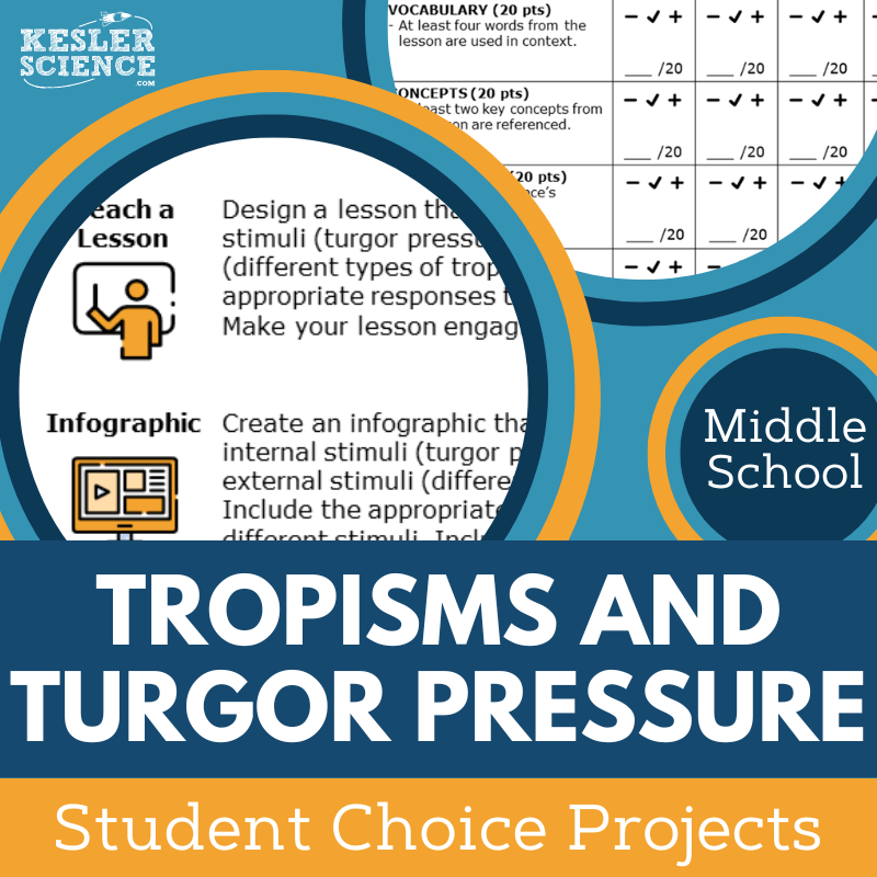 Tropisms & Turgor Pressure - Student Choice Projects - MS
