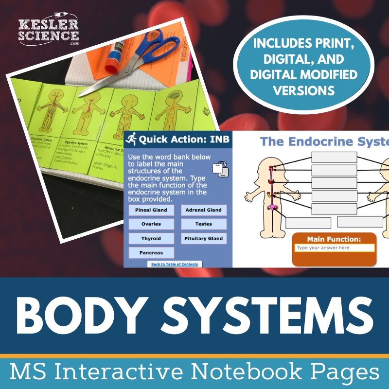 Body Systems Interactive Notebook Pages - Digital & Print INB - MS 6-8