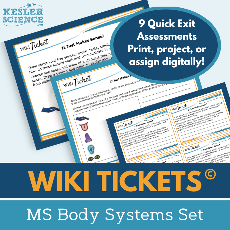 MS Body Systems Set -  Exit Tickets