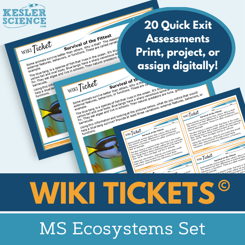 MS Ecosystems Set - Exit Tickets