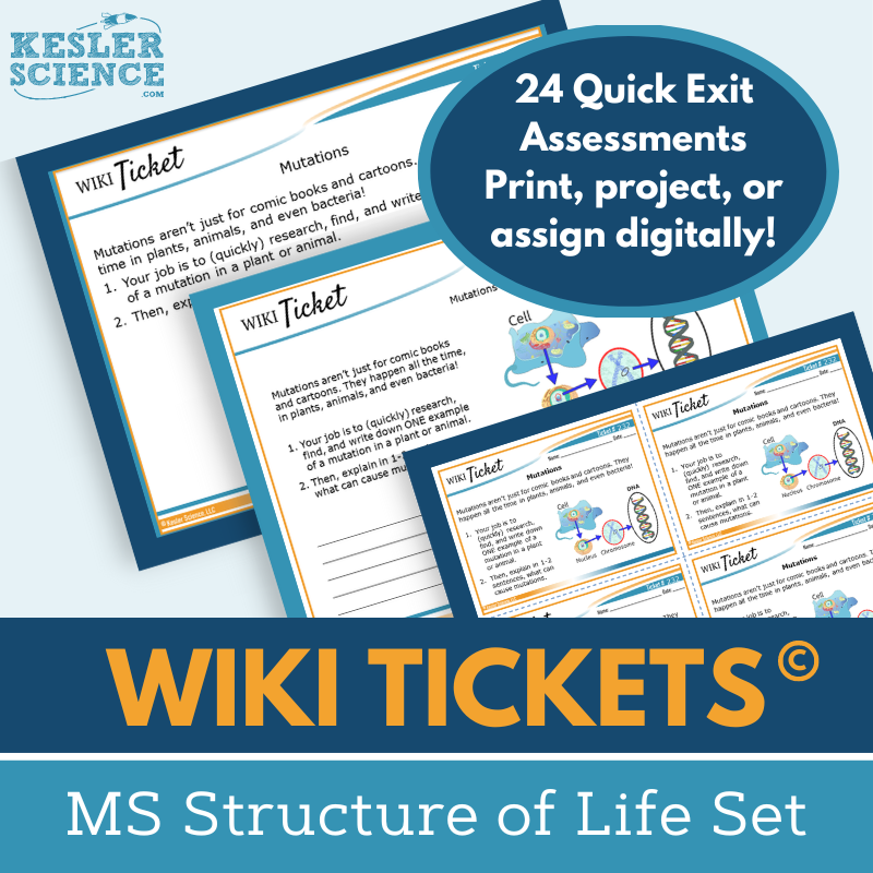 MS Structure of Life Set - Exit Tickets
