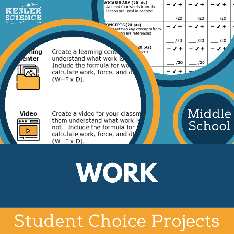 Work - Student Choice Projects - MS